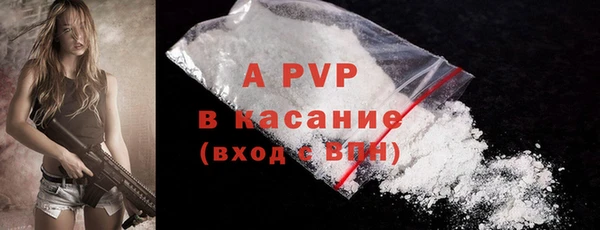 гашик Арсеньев