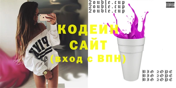гашик Арсеньев