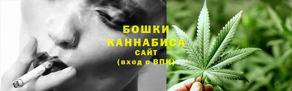 гашик Арсеньев