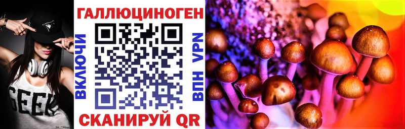 Галлюциногенные грибы GOLDEN TEACHER Пучеж