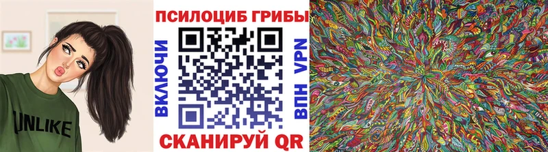 Псилоцибиновые грибы Psilocybine cubensis  Пучеж 
